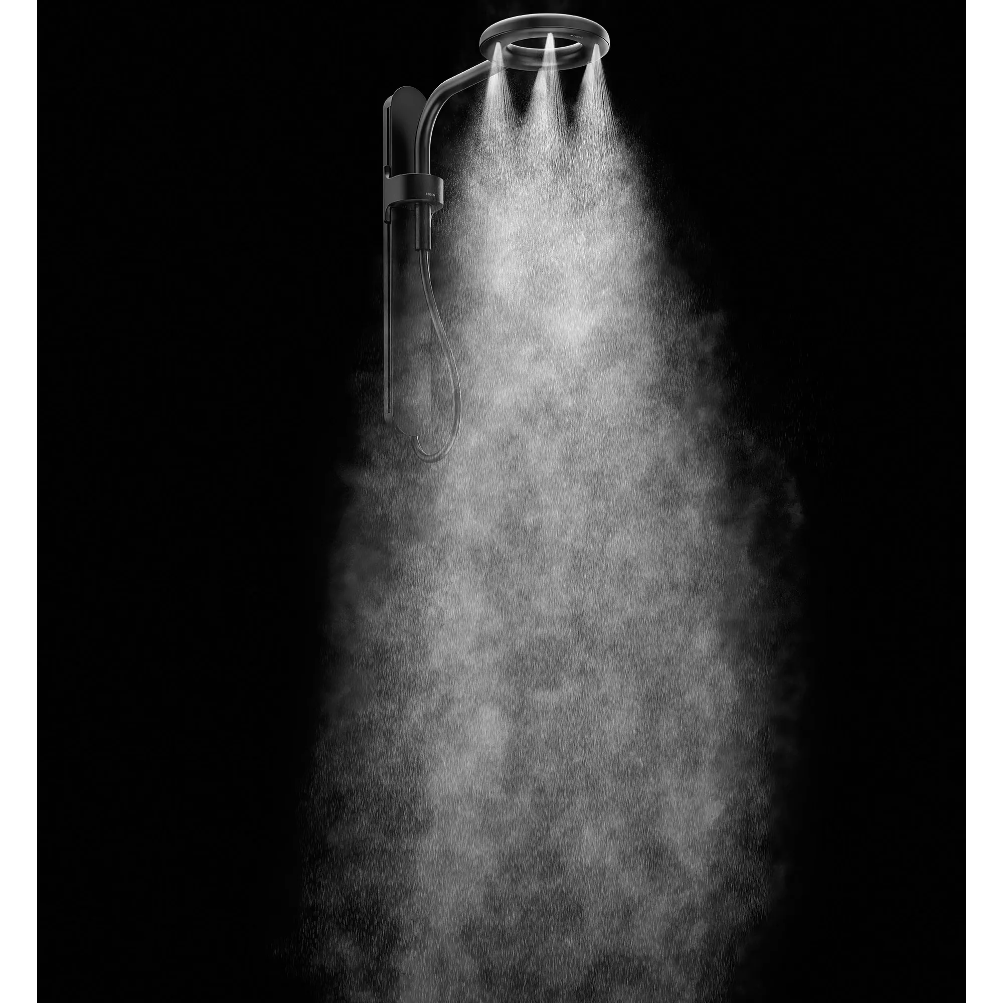 Two-Function 7.9" Spa Shower with Handshower - Image 2