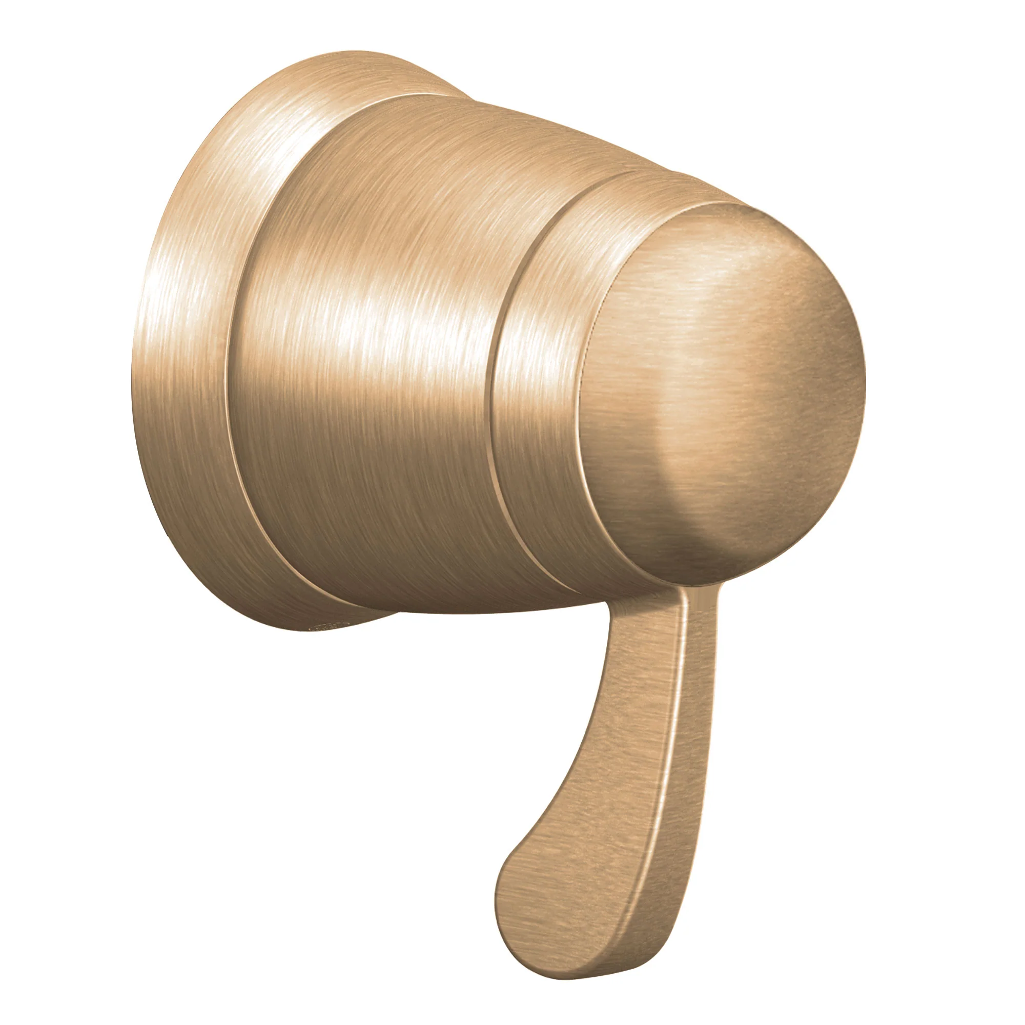 ExactTemp Chrome Volume Control - Image 9